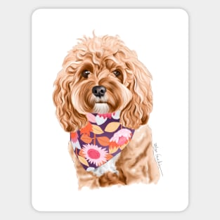 Cavoodle Sticker